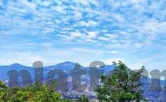 国产一区二区免费-国产一区二区免费,网络资源与版权意识的平衡