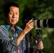 糖心vlog官网破解-糖心Vlog 官网及内容价值探索